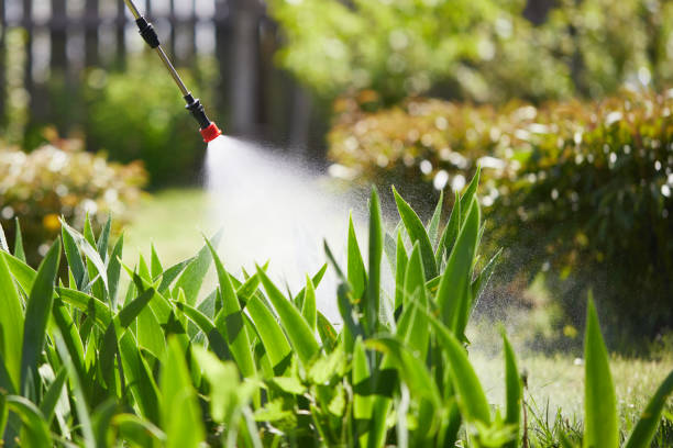 24/7 Emergency Mosquito Control experts in Pelican Marsh, FL