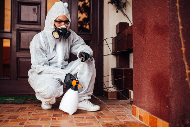 Reliable Mosquito Control contractor in Pelican Marsh, FL by Show Me Pest Control